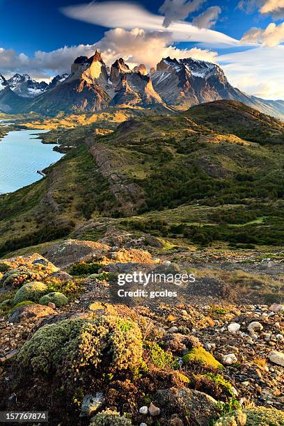 quintessential torres del paine - patagonian andes stock pictures, royalty-free photos & images