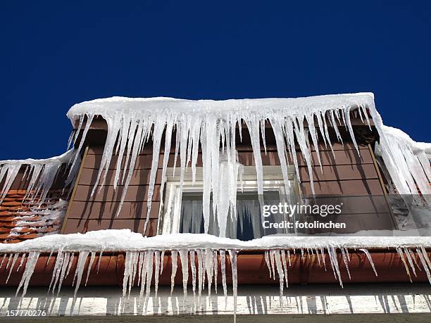 icicles - icicle stock pictures, royalty-free photos & images