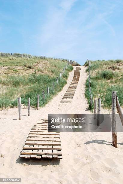 strada tra le dune - beach dunes foto e immagini stock