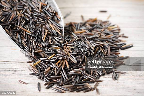 scoop of wild rice - wilde rijst stockfoto's en -beelden