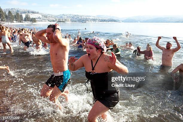 tauchbecken polar bear - den sprung wagen stock-fotos und bilder