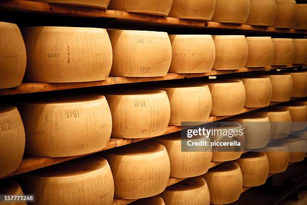 parmigiano ruote laiding nella camera silenziosa maturazione - parmigiano foto e immagini stock