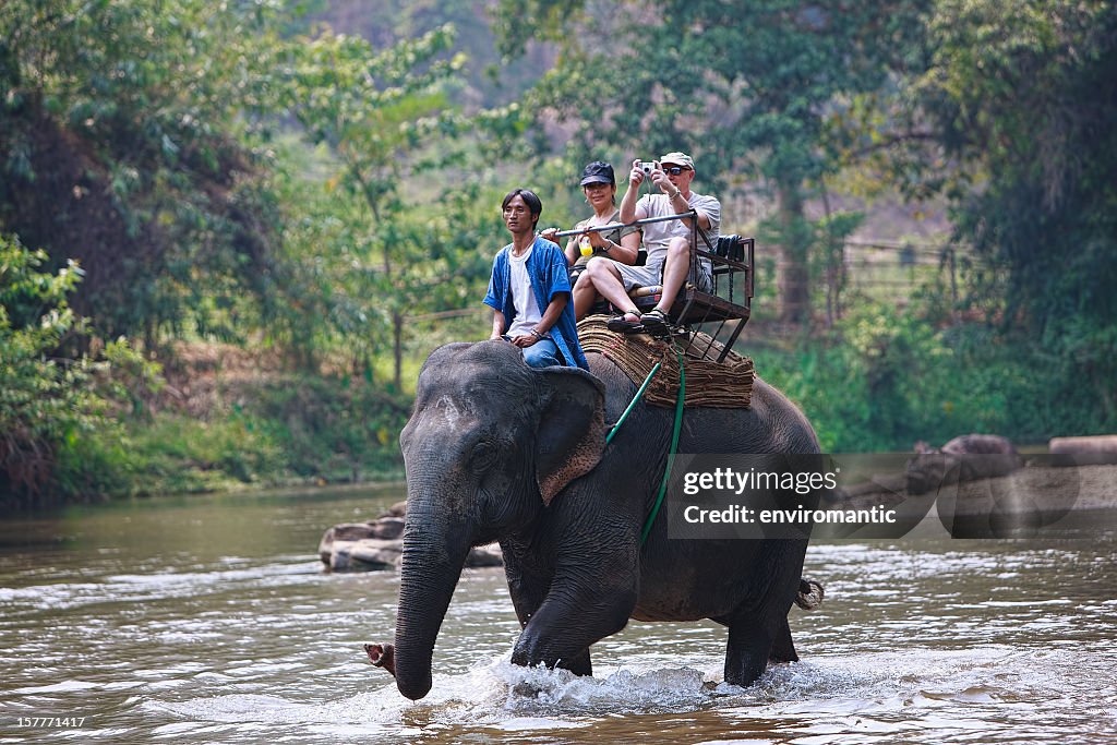 Elephant ride.