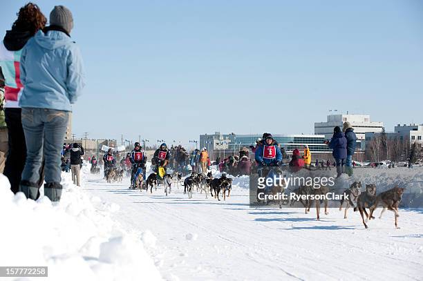 dogsled racing - yellowknife stock pictures, royalty-free photos & images