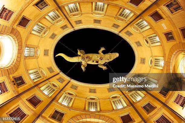 the faunal countdown - ferrara stock pictures, royalty-free photos & images