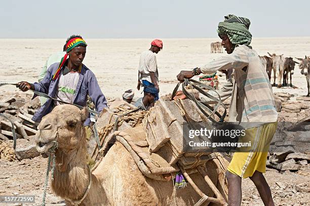 salt worker in the danakil desert, ethiopia - danakil desert stock pictures, royalty-free photos & images