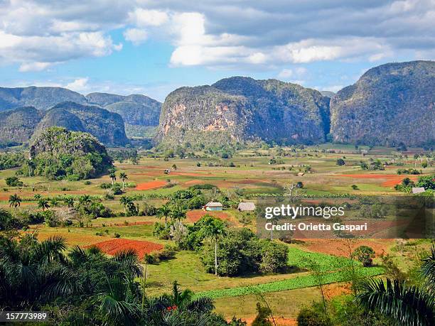 mogotes nella valle di viñales, cuba - cuba foto e immagini stock