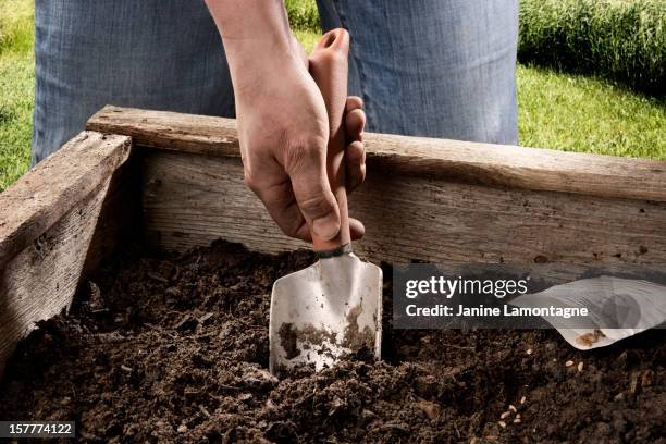 planting seeds in a raised garden bed - hand holding sachet stock pictures, royalty-free photos & images