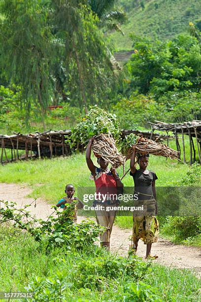 african women are carrying firewood, lake tanganyika, burundi, africa - burundi stock pictures, royalty-free photos & images