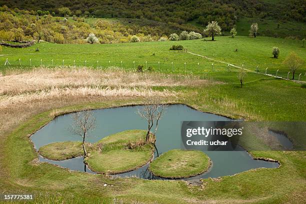 floating island in bingöl. - floating island stock pictures, royalty-free photos & images