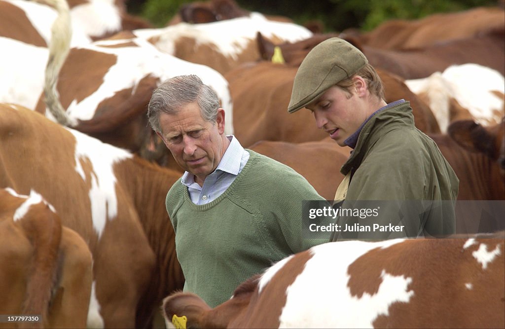 Prince William At Duchy Home Farm In Gloucestershire