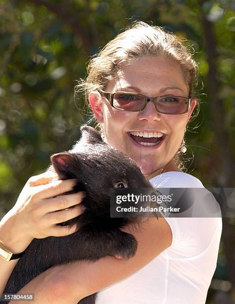 Crown Princess Victoria Of Sweden Visits The Healsville Wildlife Sanctuary, Near Melbourne, Where She Met A Koala & A Wombat - During Her Visit...