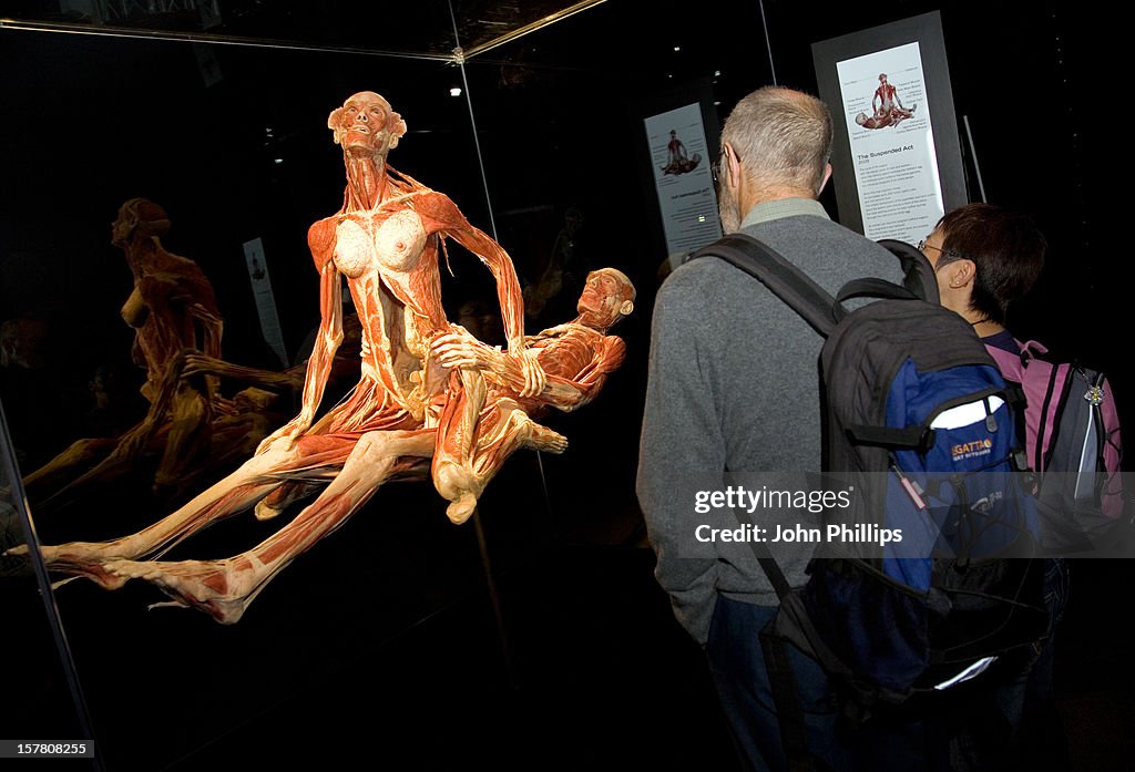 Body Worlds Sex Plastinates - London