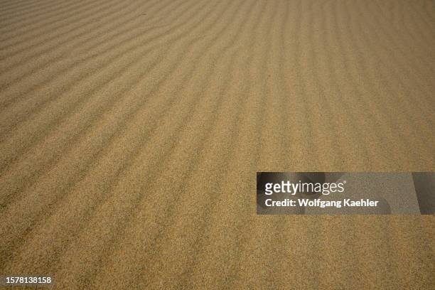 Ripples in the sand at one of the sand dunes at the Hongoryn Els sand dunes in the Gobi Desert in southern Mongolia.