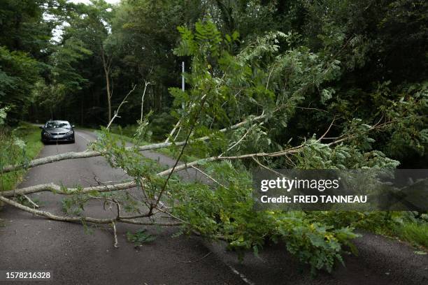 This photograph shows a fallen tree on a road after high winds hit the Finstere department, in Quimper, western France, on August 5, 2023.