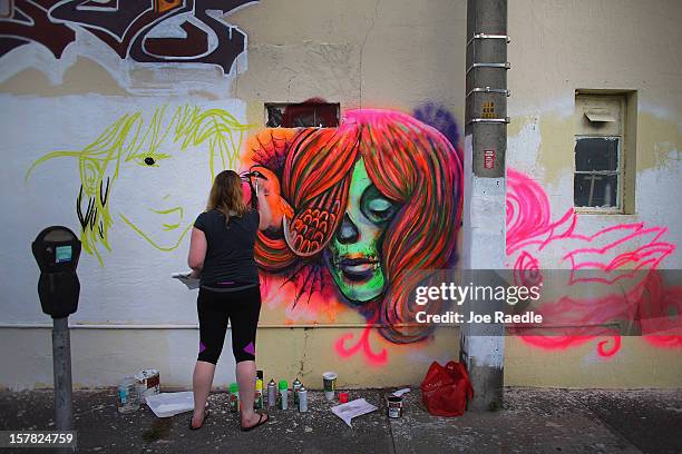 Artist, Sarah Ballard, works on her painting on the wall of a building as she participates in the Wynwood Walls art project on December 6, 2012 in...