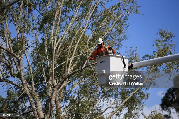 Workers work to repair the power supply to the Auckland suburb of Whenuapai following a tornado that struck yesterday on December 7, 2012 in...