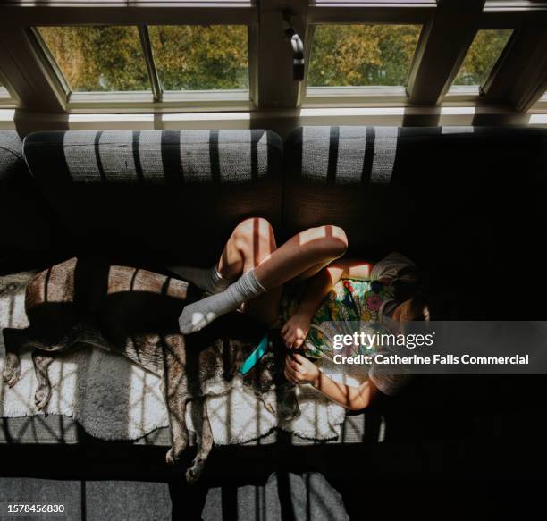 a little girl and her dog recline on a sofa beside sash windows as the sun shines in - short phrase stock pictures, royalty-free photos & images
