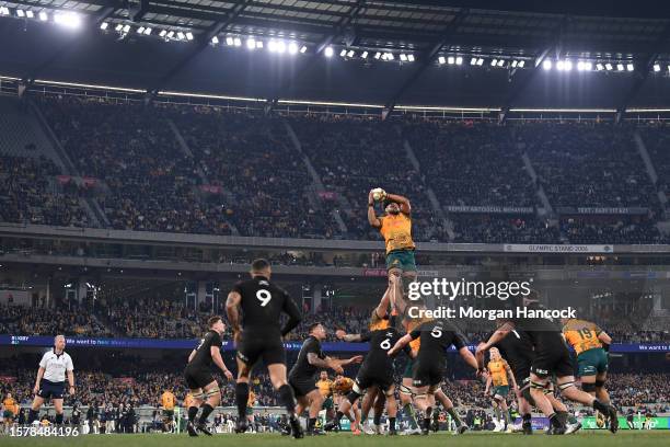 Rob Valetini of the Wallabies wins a line out during the The Rugby Championship & Bledisloe Cup match between the Australia Wallabies and the New...