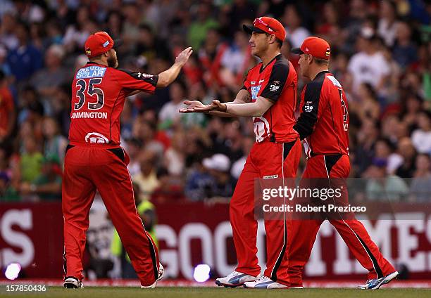 Faf du Plessis of the Renegades celebrates with team-mates after taking a catch to dismiss Cameron White of the Stars during the Big Bash League...