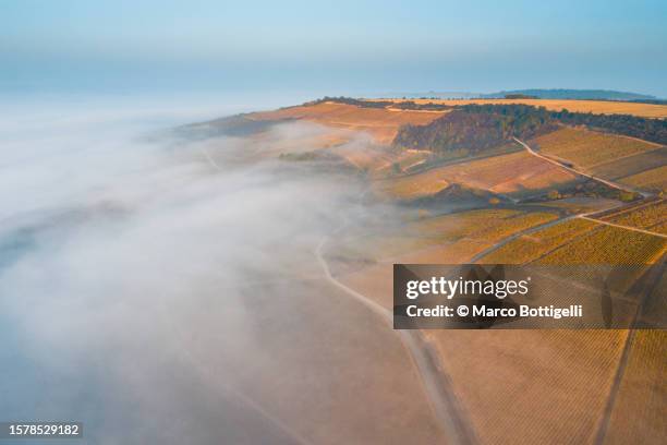 foggy landscape at sunrise, burgundy, france. aerial view - irancy stockfoto's en -beelden