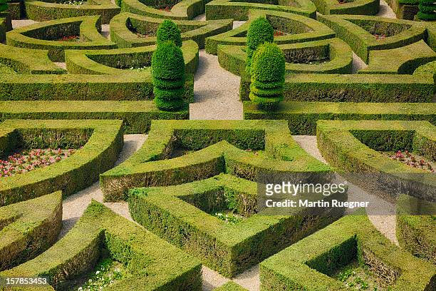 formal hedged garden of villandry castle. - garden centre bildbanksfoton och bilder