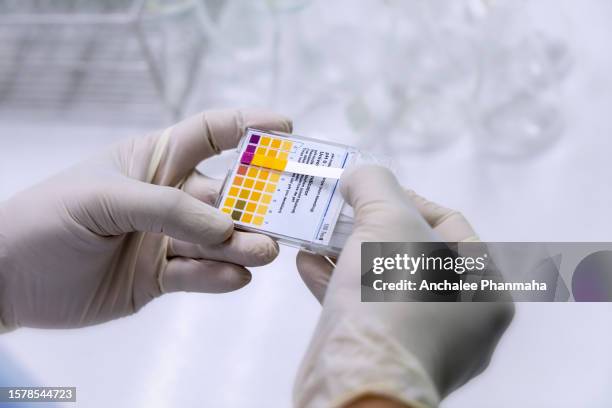 ph value checking by litmus paper - ph scale stock-fotos und bilder