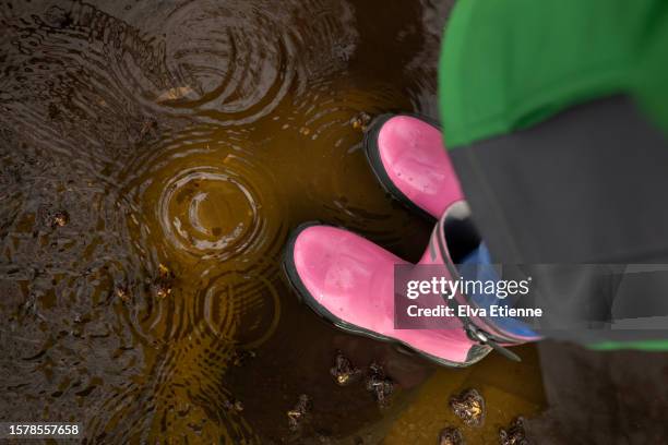 high angle view of child standing in a springtime puddle of rainwater, wearing a green raincoat, pink wellington boots and with a yellow umbrella reflected in the water. - germany flood stock-fotos und bilder