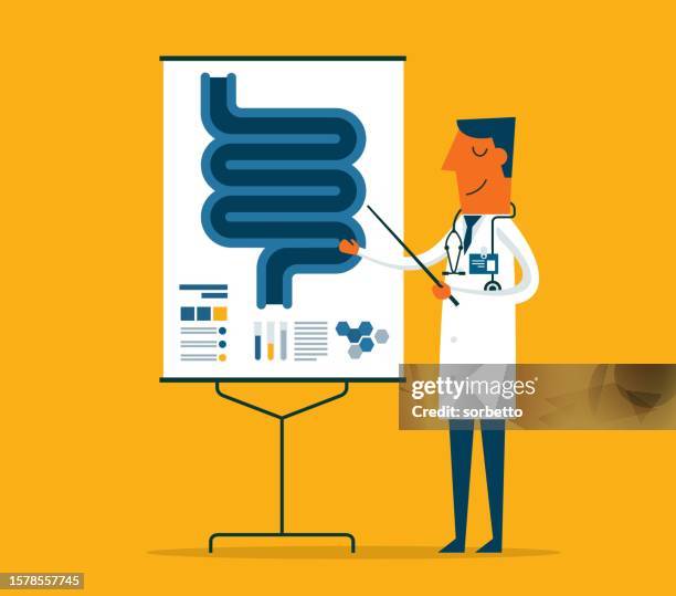 doctor gives a training lecture about anatomy - human intestine - colonoscopy stock illustrations