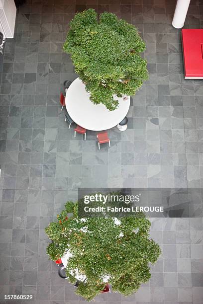 high angle view of bonsai trees growing on tables in an office lobby - bonsai tree office stock pictures, royalty-free photos & images