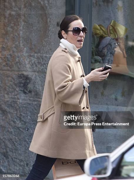 Ana Milan is seen on December 6, 2012 in Madrid, Spain.