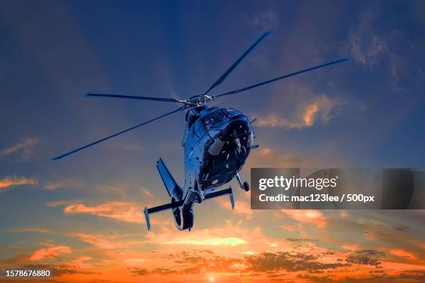 low angle view of helicopter flying against sky during sunset - hélicoptère photos et images de collection