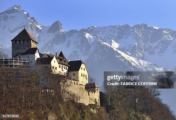 Home of the Princely House of Liechtenstein, The Castel of Vaduz is pictured on February 19, 2008 above Liechtenstein's capital Vaduz. Crown Prince...