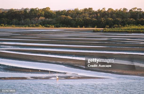 Burry Inlet Ramsar 1,798 Ramsar Wetlands Stock Photos, High-Res Pictures, and Images ...