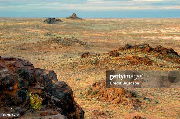 Pinnacle Rock and chenopod plain. Boolcoomatta Bush Heritage Australia Reserve, northeastern South Australia.