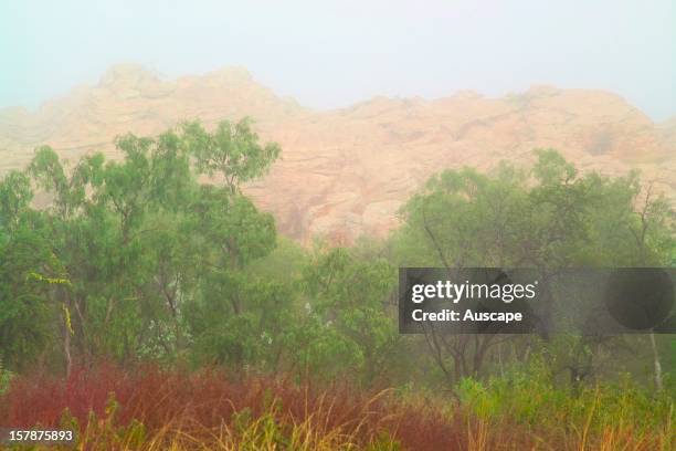 Broadmere Icon 14 Lateritic Stock Photos, High-Res Pictures, and Images - Getty Images