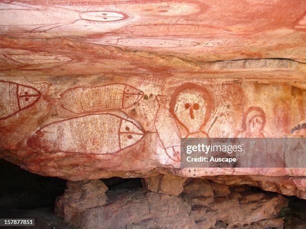 Aboriginal cave paintings in rock shelter - Gwion Gwion rock art, depicting a fish hunt. Raft Point Gallery, Kimberley Region, Western Australia.