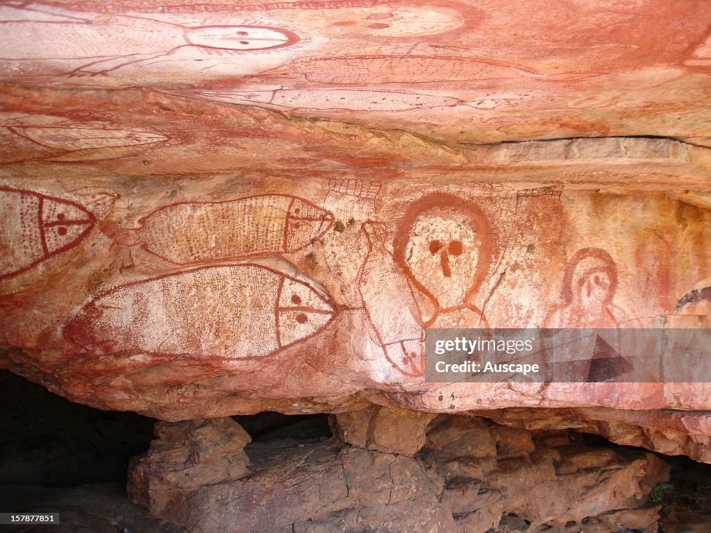 Cave Rock Art The Ancient Rock Art Of Africa TOTA cave-rock-art-the-ancient-rock-art-of-africa-tota