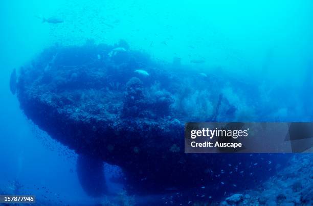 The wreck of the SS Yongala sunk in 1911. Bowling Green Bay, Great Barrier Reef Queensland, Australia.