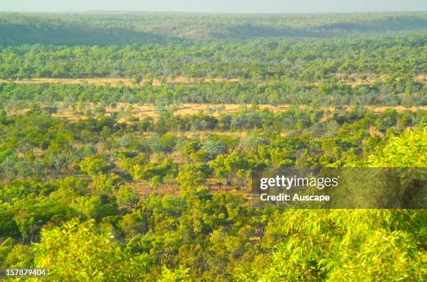 Broadmere Icon Northern Broadmere Photos and Premium High Res Pictures - Getty Images