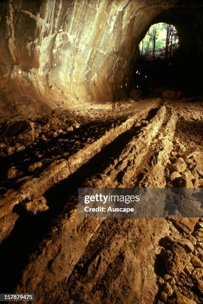 Barkers Cave,, lava tube formed about 190 000 years ago from one of the earth's longest flows of lava from a single volcano: an estimated 1000 cubic...