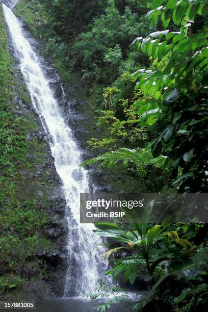 Waterfall French Polynesia. Tahiti Island, Vallee Des Trois Cascades.