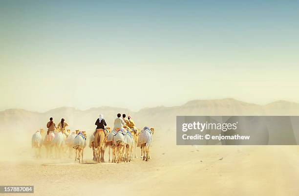 desert travellers - abu dhabi stock pictures, royalty-free photos & images