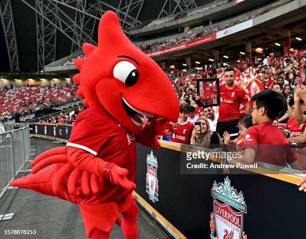 Mighty Red mascot Liverpool during a training session at Singapore National Stadium on July 29, 2023 in Kallang, Singapore.