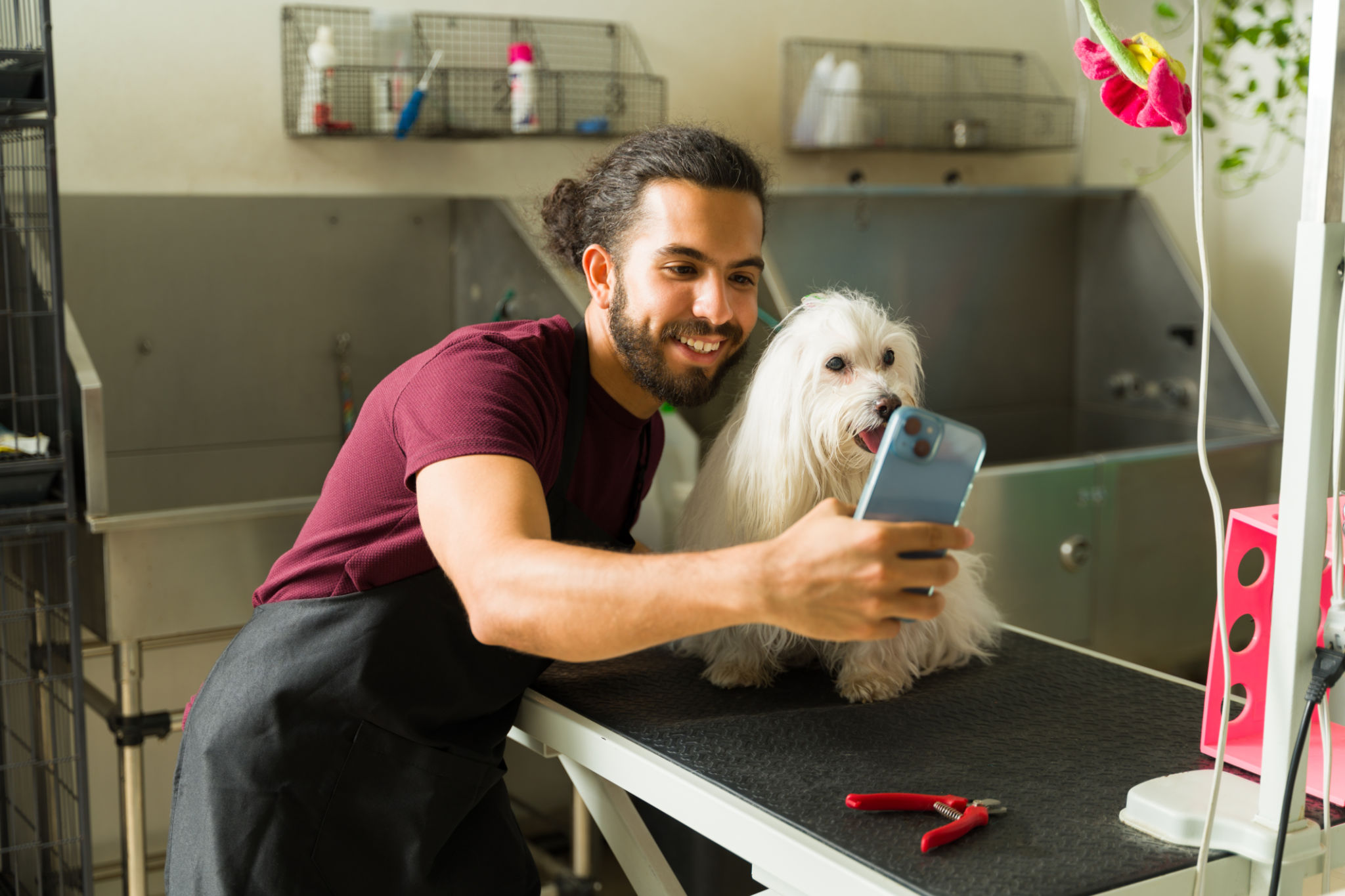 mobile pet grooming