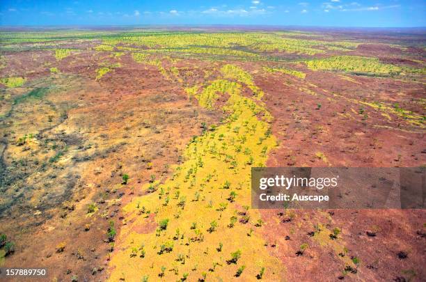 Patterns of fire and regeneration in savannah grassland, Marion Downs Wildlife Sanctuary, northern Western Australia.