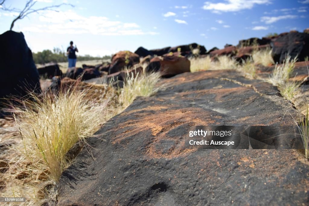 Aboriginal petroglyphs,