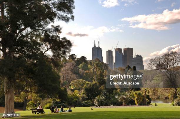 Melbourne skyline from Royal Botanic Gardens, Melbourne, Victoria, Australia.