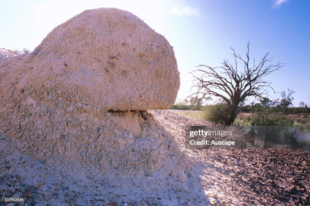 Sediment built up around a mound spring,