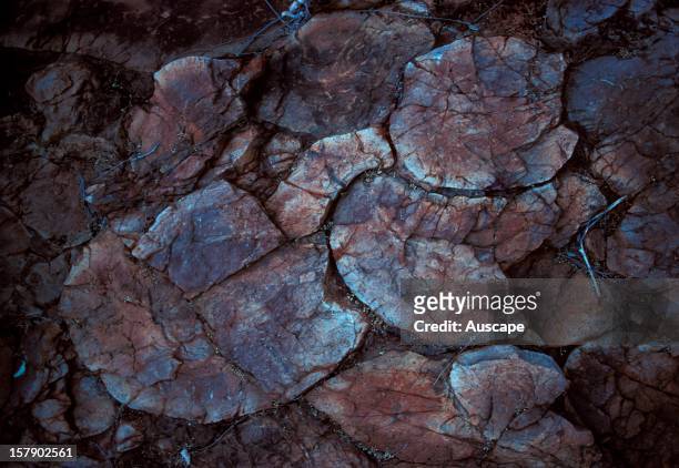 Eroded lava 'pillows'These globules of lava were 'frozen' into their rounded shapes by cold sea water during their submarine eruption almost 3.5...